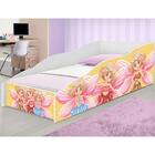 Cama Juvenil Club Passeio Das Fadas