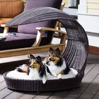 Cama Para Cachorro Pet Chaise Beinji