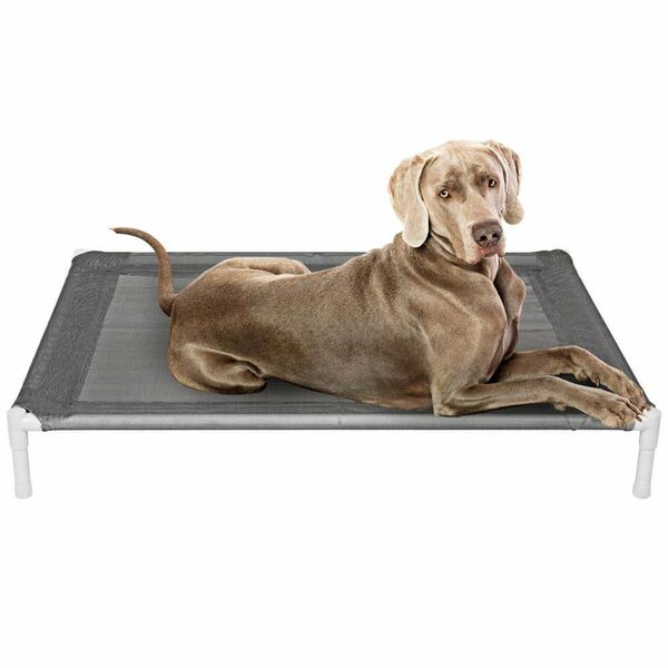 Cama Pet Elevada Cachorro E Gato Suspensa G