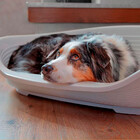 Cama Siesta Deluxe De Plástico Ferplast