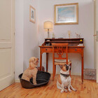 Cama Siesta Deluxe De Plástico Ferplast - Tamanho 6 A 10