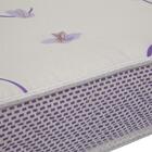 Cama Solteiro Simba Pés Madeira Natural Com Colchão D20 - Rel