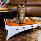 Caminha Cat Line Pet Premium Mdf Champagne Com Comedouro E Al