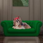 Caminha Para Pet Murano Sl Moll