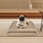 Caminha Para Pet Viena Azul Claro