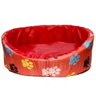 Caminha Pet Europa Nylon Acolchoada Nº 2 Ld Pet  Laranja C/ P