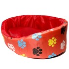 Caminha Pet Europa Nylon Acolchoada Nº 3 Ld Pet  Laranja Com