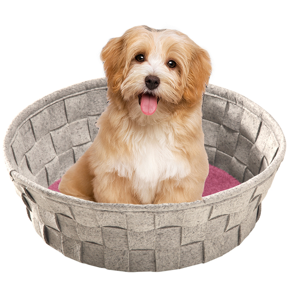 Caminha Resistente Pet Para Cachorro Redonda Relax Soft