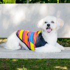 Camisa Pet Listrada Roupa Proteção Solar Camiseta Cachorro Ta