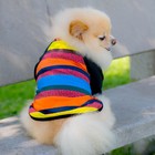 Camisa Pet Listrada Roupa Proteção Solar Camiseta Cachorro Ta