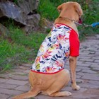 Camiseta Para Cachorro Camisa Pet Roupa Proteção Solar Dog Ta