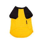 Camiseta Snoopy Hee Hee Amarela Tamanho G