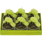 Candles Vela Parafina Verde 6pç Bonsai