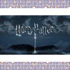 Caneca Harry Potter 13