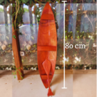 Canoa Indígena 80cm Madeira Muirapiranga