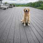 Cantoneira Para Deck Wpc Cinza Claro 290cm X 5,5cm X 5cm PEX