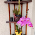 Cantoneira, Prateleira P22