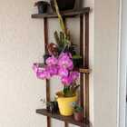 Cantoneira, Prateleira P22