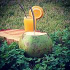 Canudo De Aço Inox Reutilizável Sustentável Reto 6,3mm 19cm