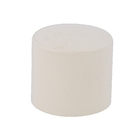 Cap CPVC Liso para Condução de Água Quente 28mm ou 1" Tigre