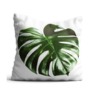 Capa De Almofada 42x42cm Costela De Adão Ii