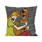 Capa De Almofada -  Scooby Doo E Salsicha - Hanna Barbera
