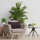 Capa de Almofada Chade Marrom 30X50cm