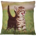 Capa De Almofada Decorativa Animal Gato Feliz 45x45cm
