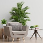 Capa de Almofada Irlanda Ráfia 30X50cm