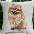 Capa De Almofada Lulu Da Pomerânia