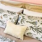 Capa De Almofada Pelúcia Baunilha Retangular