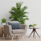 Capa de Almofada Pesponto Escuro 30X50cm