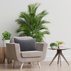 Capa de Almofada Pesponto Preto 30X50cm