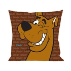 Capa De Almofada - Scooby Doo - Hanna Barbera