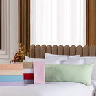 Capa Fronha De Xuxão Travesseiro De Corpo Cores Lisas Avulsa