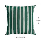 Capa Para Almofada 43x43cm Outdoor Belchior Verde/branco