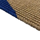 Capacho Estampado Retangular Curvas Sisal Multicolorido Áreas Internas e Externas com Cobertura 0,40x0,60m Apaeb