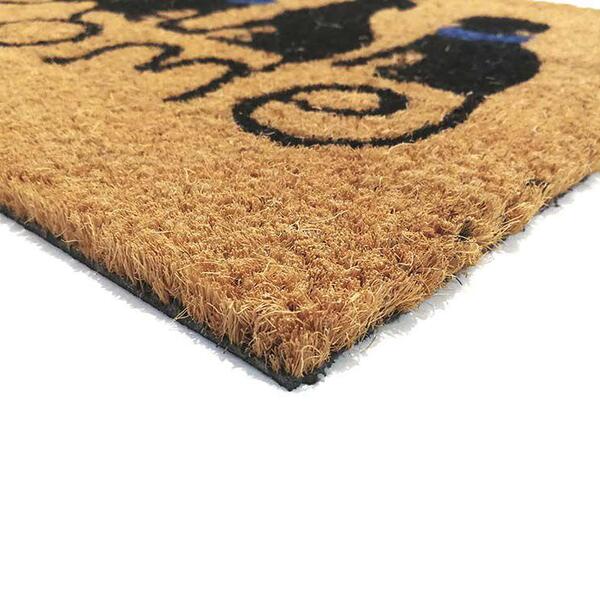 Capachos de coco clearance