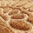 Capacho Fibra De Coco Ruby 01 - 0,33x0,60m - Edantex