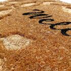 Capacho Fibra De Coco Ruby 02 - 0,33x0,60m - Edantex