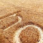 Capacho Fibra De Coco Ruby 05 - 0,33x0,60m - Edantex