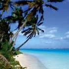 Capacho Paisagem – Masterkap - Estampado