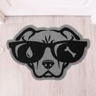 Capacho Vinil Pet Rosto Cão 40cmx60cm Kapazi Cinza