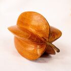 Carambola Em Madeira