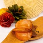 Carambola Em Madeira