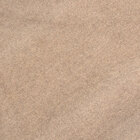 Carpete Autolour Bege Com Resina 2,00 X 10,00m (20m²)