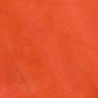 Carpete Autolour Vermelho Com Resina 2,00 X 1,00m (2m²)