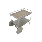 Carrinho Bar Em Aço Com Bandeja Otto Fendi/champagne