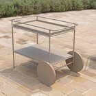 Carrinho Bar Em Aço Com Bandeja Otto Fendi/champagne