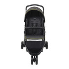 Carrinho De Bebê Burigotto Cr3 De 0 Até 15kg Para Passeio Cin